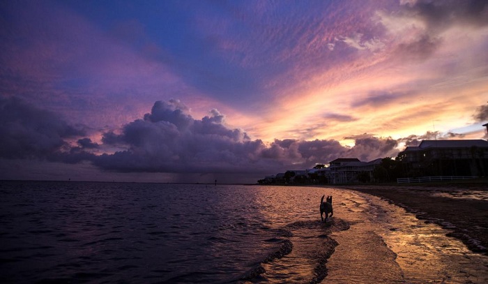 Florida faces its first hurricane in more than a decade